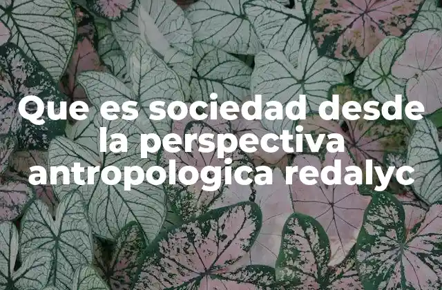 Que es Sociedad desde la Perspectiva Antropologica Redalyc