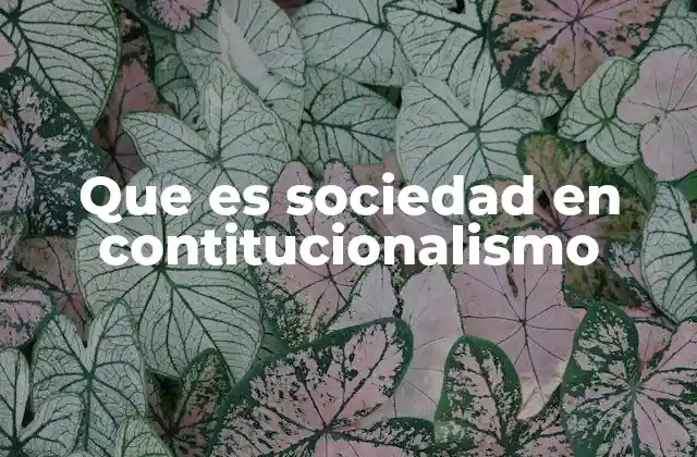 Que es Sociedad en Contitucionalismo