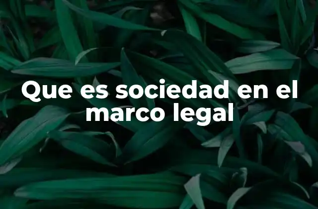 Que es Sociedad en el Marco Legal