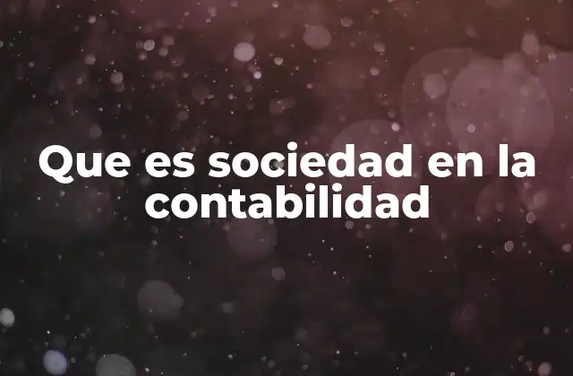 Que es Sociedad en la Contabilidad