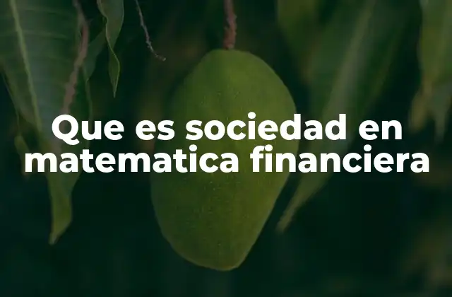 Que es Sociedad en Matematica Financiera