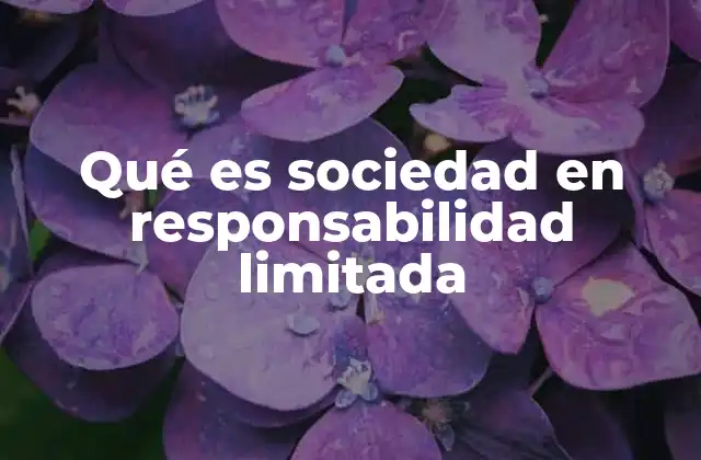 Qué es Sociedad en Responsabilidad Limitada