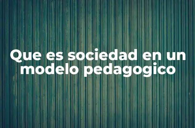 Que es Sociedad en un Modelo Pedagogico