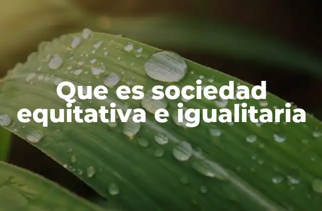 Que es Sociedad Equitativa e Igualitaria