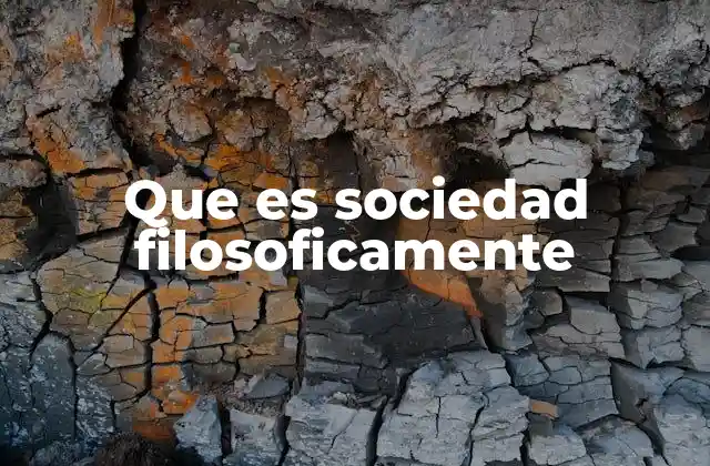 Que es Sociedad Filosoficamente 2 La sociedad como un fenómeno trascendental