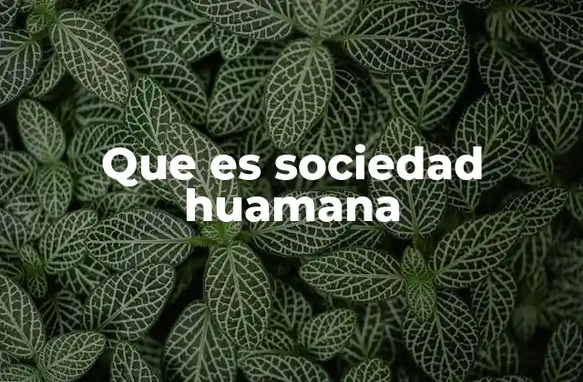 Que es Sociedad Huamana