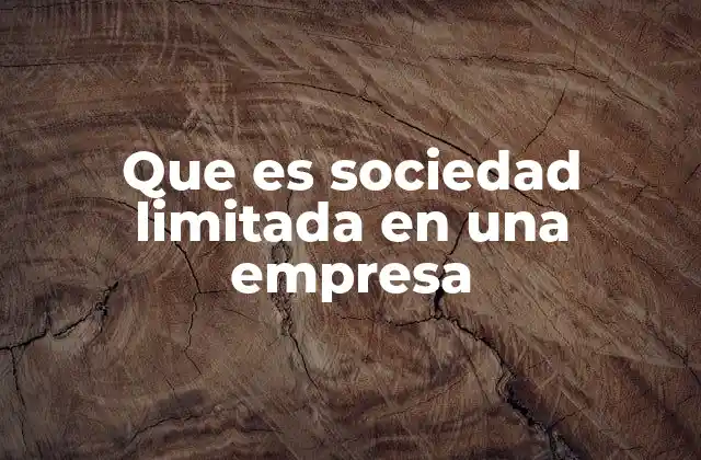 Que es Sociedad Limitada en una Empresa