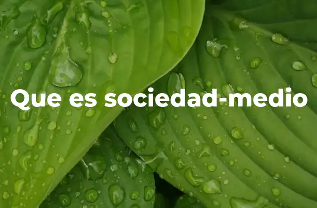 Que es Sociedad-medio