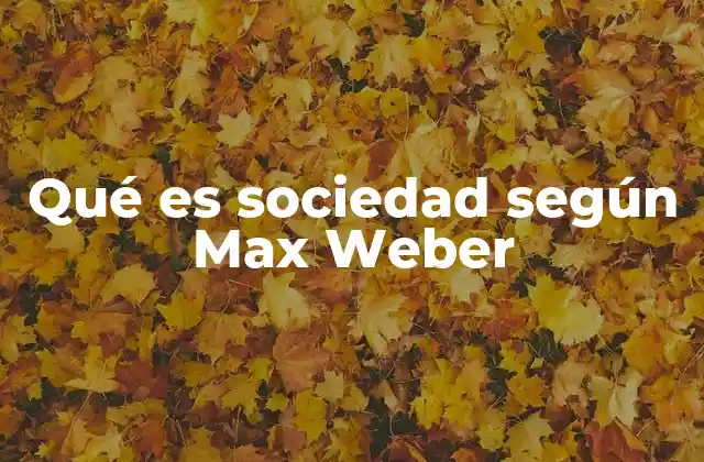 Qué es Sociedad según Max Weber