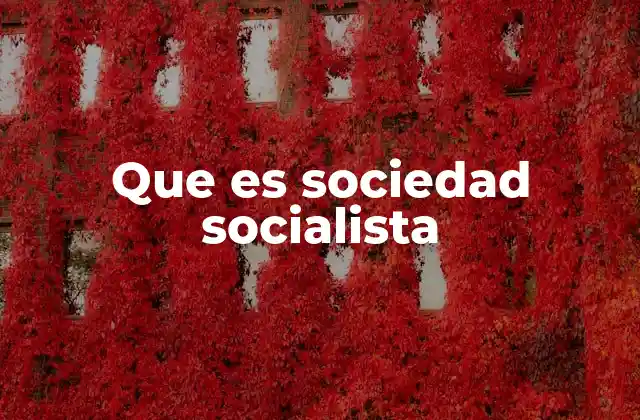 Que es Sociedad Socialista