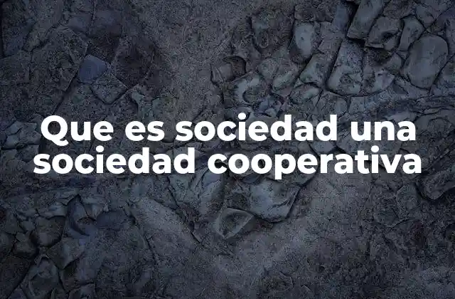 Que es Sociedad una Sociedad Cooperativa 2 Características principales de las cooperativas