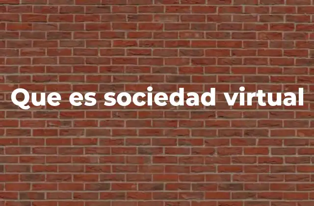 Que es Sociedad Virtual