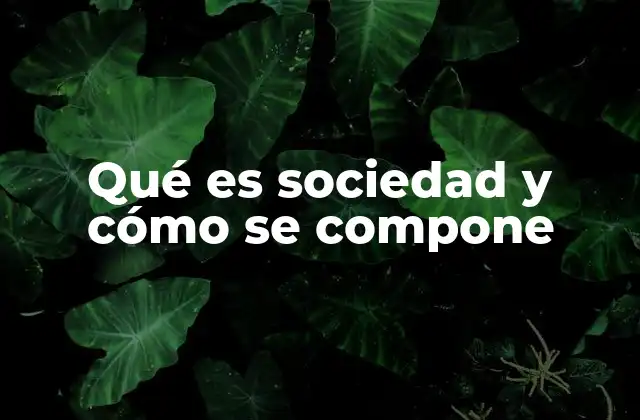 Qué es Sociedad y Cómo Se Compone
