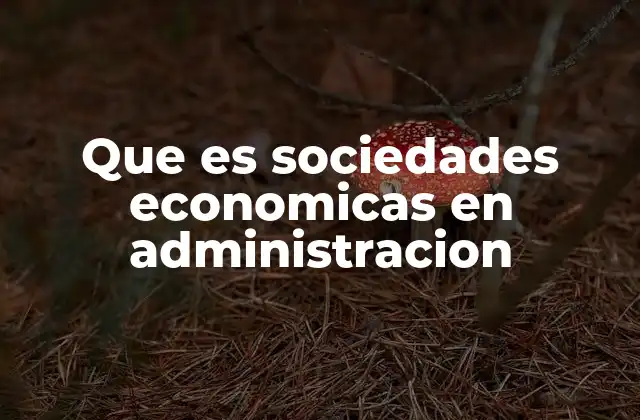 Que es Sociedades Economicas en Administracion