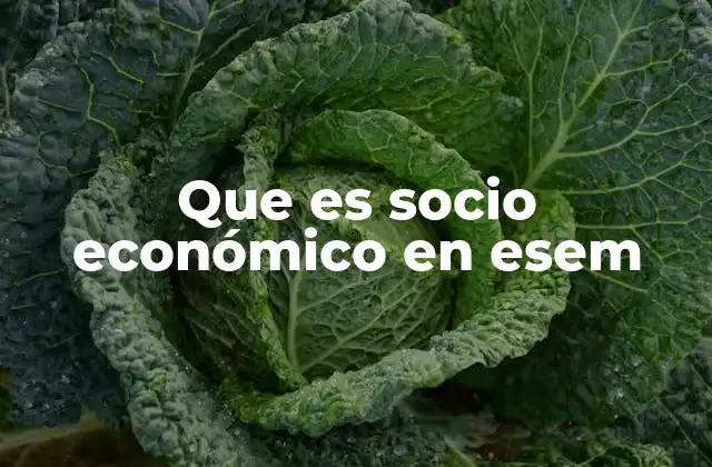 Que es Socio Económico en Esem