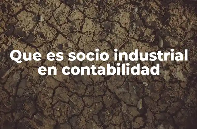 Que es Socio Industrial en Contabilidad