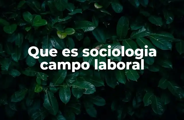Que es Sociologia Campo Laboral