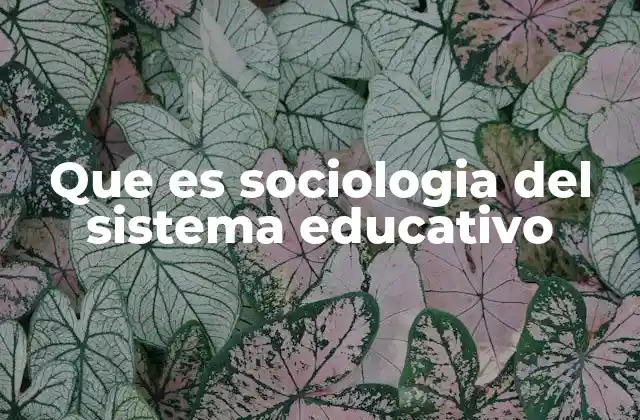 Que es Sociologia Del Sistema Educativo