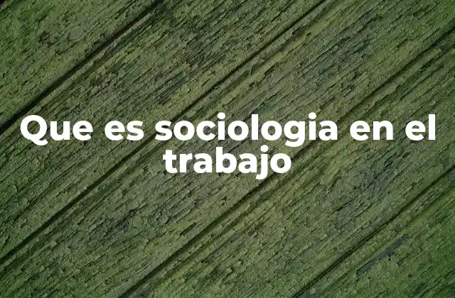 Que es Sociologia en el Trabajo