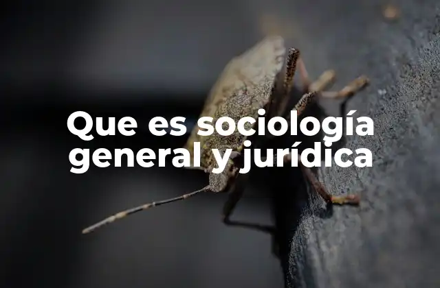 Que es Sociología General y Jurídica