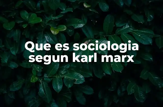 Que es Sociologia Segun Karl Marx