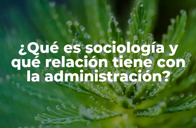 ¿qué es Sociología y Qué Relación Tiene con la Administración?