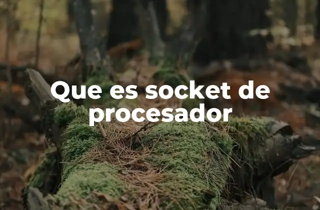 Que es Socket de Procesador