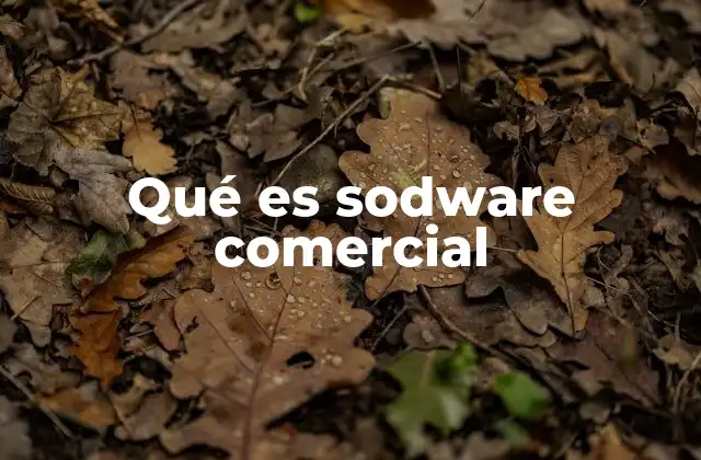 Qué es Sodware Comercial