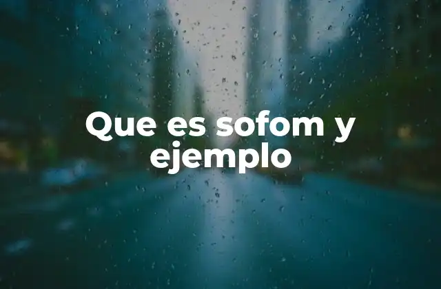 Que es Sofom y Ejemplo