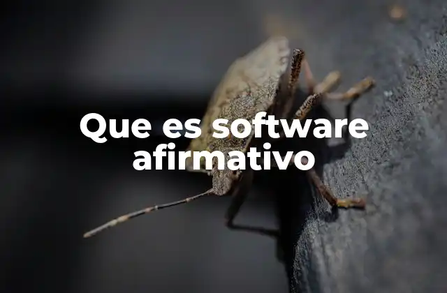 Que es Software Afirmativo