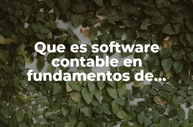 La importancia del software contable en la gestión financiera empresarial