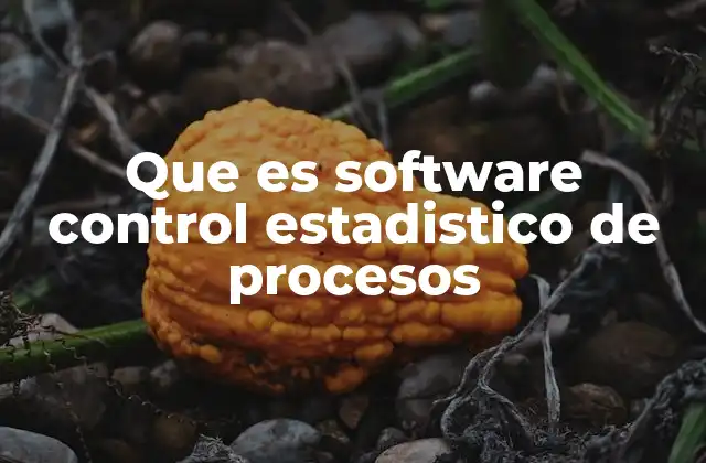 La importancia del control estadístico en la gestión de procesos