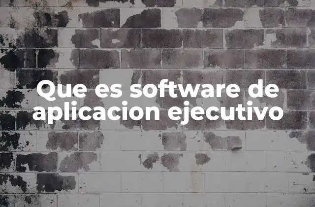 Que es Software de Aplicacion Ejecutivo