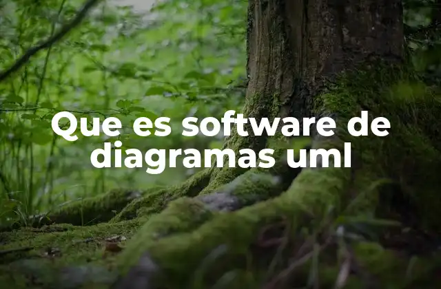 Que es Software de Diagramas Uml