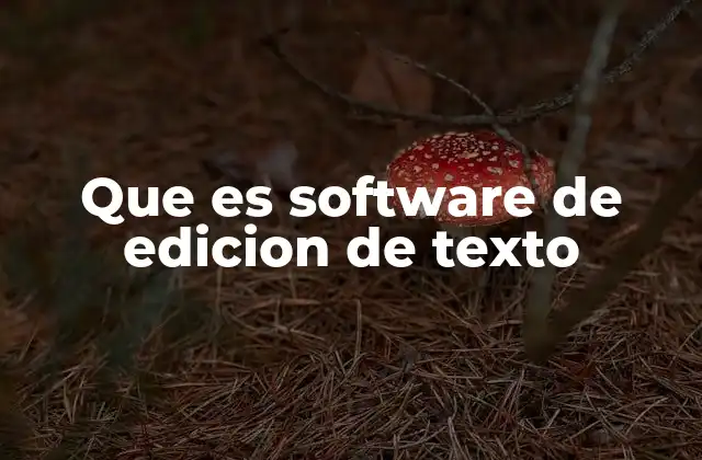 Que es Software de Edicion de Texto 2 ¿Cómo funcionan los editores de texto?
