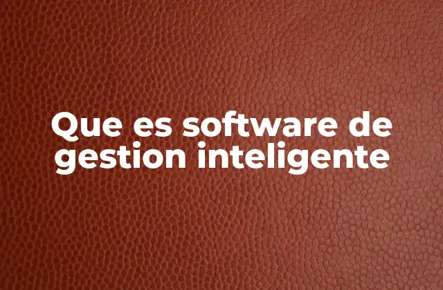 Que es Software de Gestion Inteligente