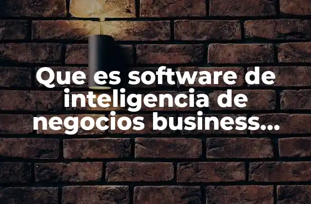Que es Software de Inteligencia de Negocios Business Intelligence