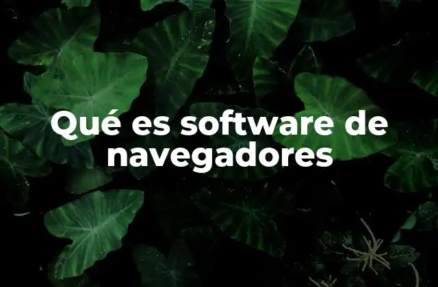 Qué es Software de Navegadores