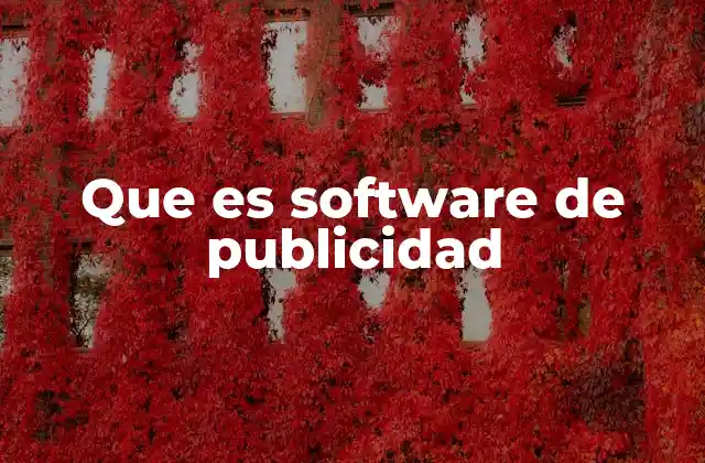 Que es Software de Publicidad