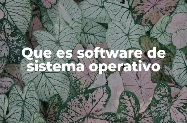 Que es Software de Sistema Operativo