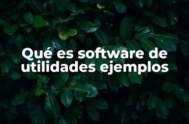 Qué es Software de Utilidades Ejemplos