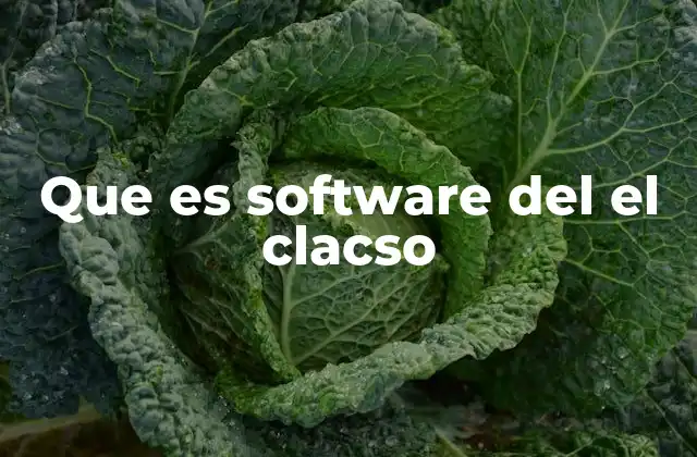 Que es Software Del el Clacso