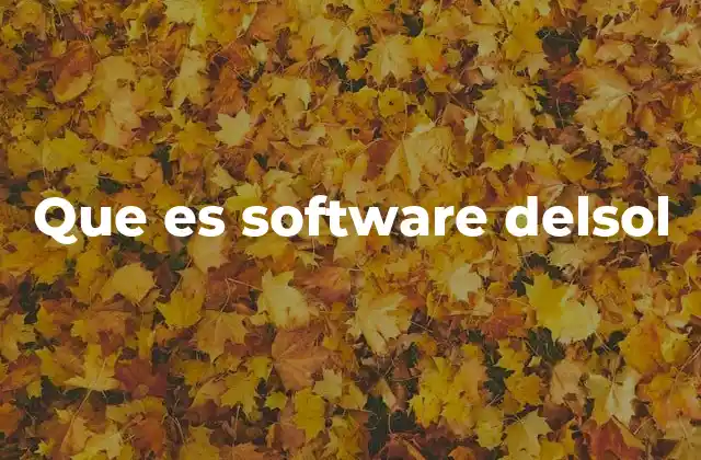 Que es Software Delsol