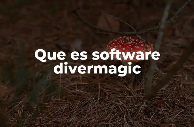 Que es Software Divermagic
