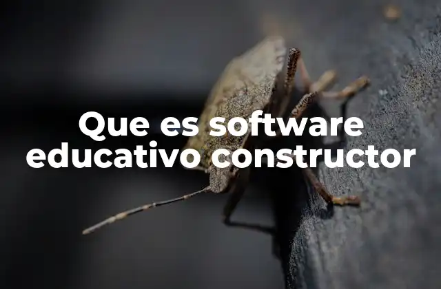 Que es Software Educativo Constructor 2 Cómo los softwares constructores enriquecen la experiencia de aprendizaje