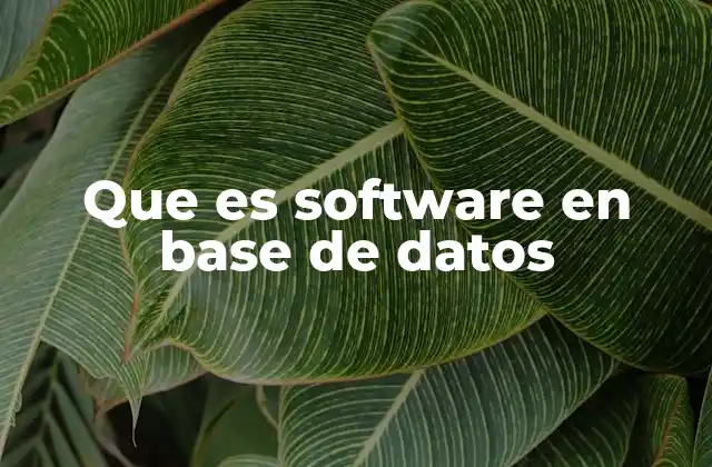 Que es Software en Base de Datos