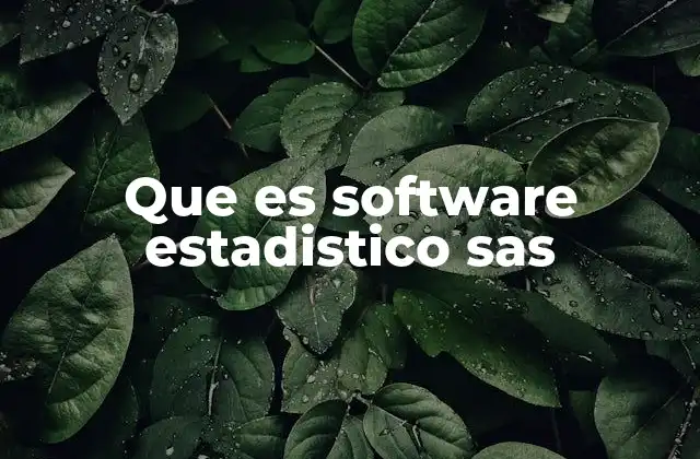 Que es Software Estadistico Sas