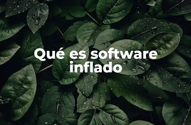 Qué es Software Inflado