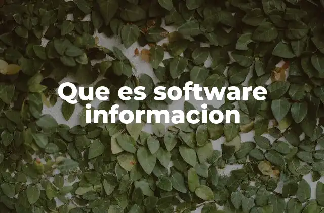 Que es Software Informacion