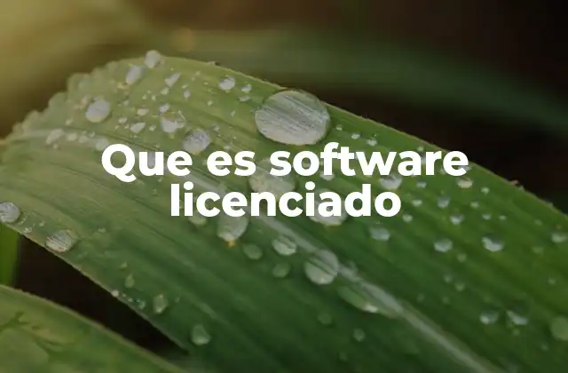 Que es Software Licenciado